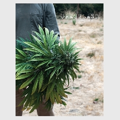 H. Lee - Kehrerverlag Heidelberg