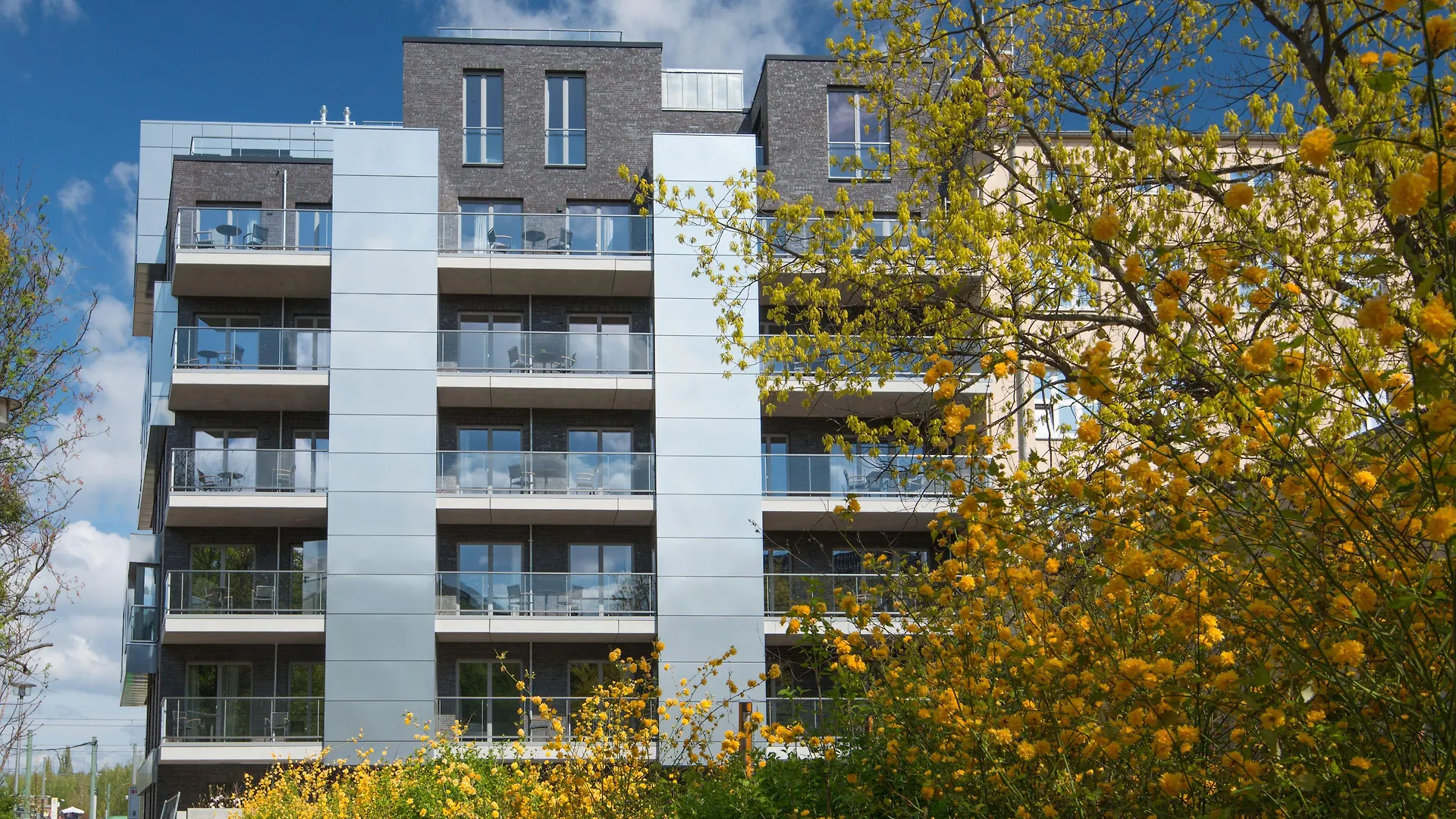 Staying Near Museum Island: 4 Central Berlin Hotels Compared