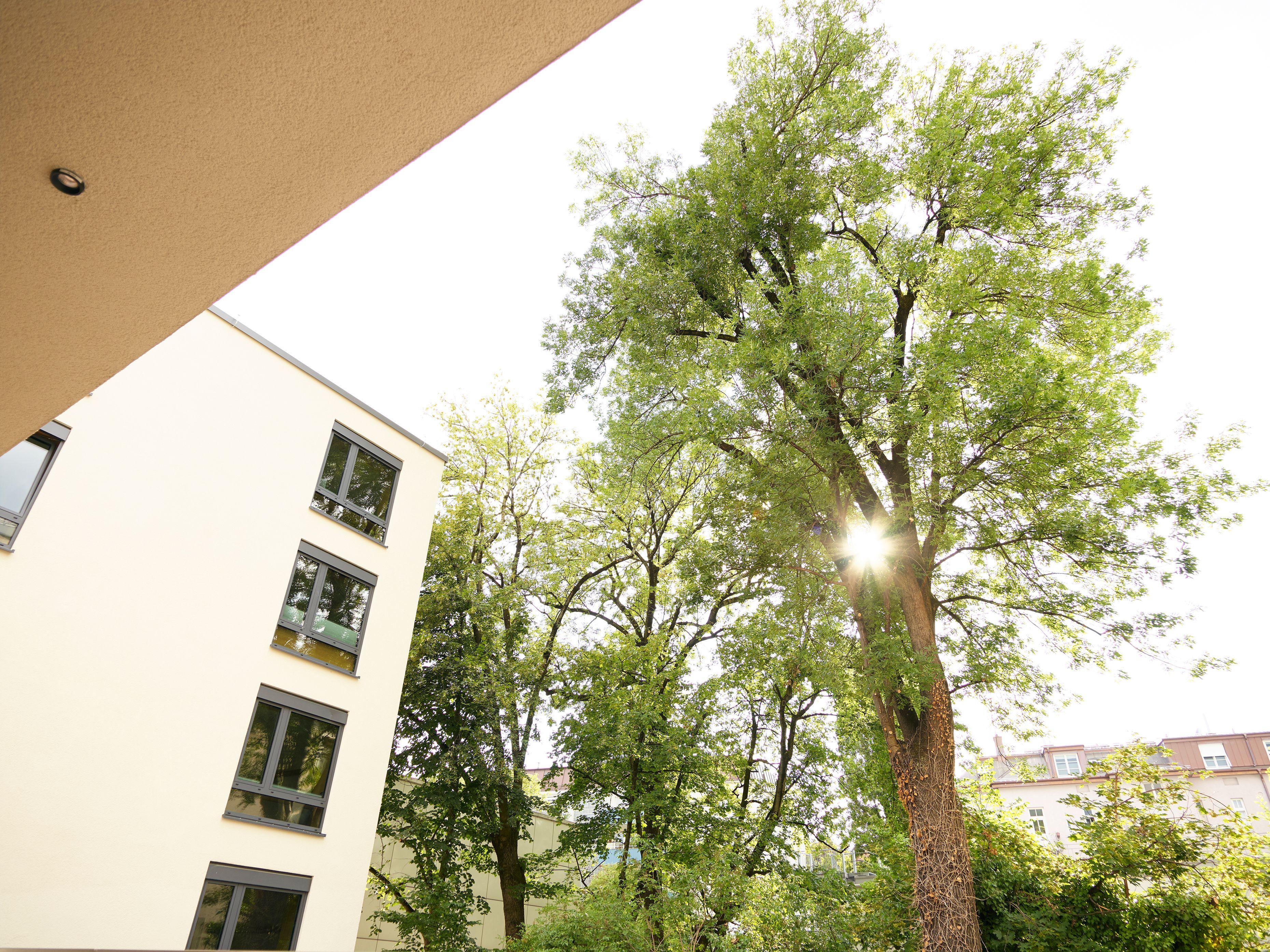 4 Four-Star Hotels in Schwabing That Are Worth Booking